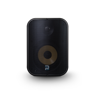 Bluesound Professional: BSP500 Netwerk streaming speaker - Zwart