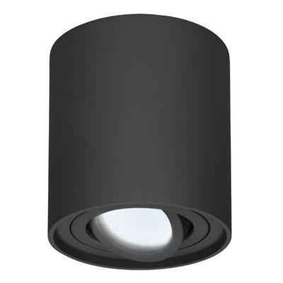 Ronde LED Opbouwspot Ray - 5 Watt 400 lumen - 6000K daglicht wit - Kantelbaar - GU10 - Opbouwspot - IP20 Voor binnen - Zwart - Dimbaar