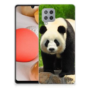 Samsung Galaxy A42 TPU Hoesje Panda