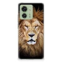Motorola Edge 40 | TPU Hoesje | Leeuw