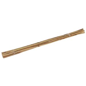 Talen Tools - Bamboestok - 60 cm - 10 stuks