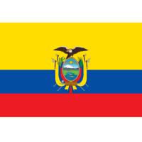 Vlag Ecuador 90 x 150 cm feestartikelen