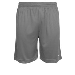 Stanno 420000 Field Short - Grey - L