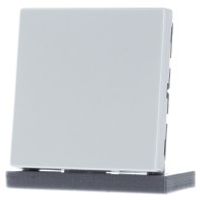 LS 994 B LG  - Cover plate for Blind plate grey LS 994 B LG