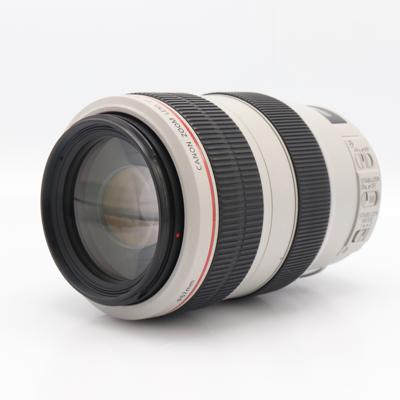 Canon EF 70-300mm F/4-5.6 L IS USM occasion