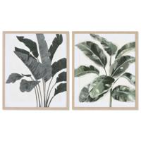Schilderij Home ESPRIT Blad van een plant Scandinavisch 52,8 x 2,5 x 62,8 cm (2 Stuks)
