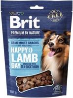 BRIT Premium Dog Snack Lam met Duindoorn - hondensnack - 180 g