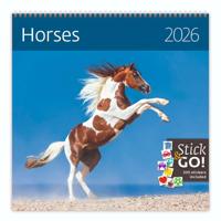 Paarden Kalender 2026