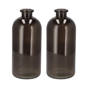 DK Design Bloemenvaas fles model - 2x - helder gekleurd glas - zwart - D11 x H25 cm - Vazen