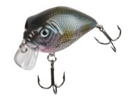 Doiyo Ishi 50 FL Roach Special SBL