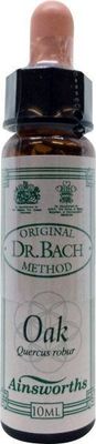 Oak Bach