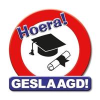 Huldebord Hoera Geslaagd verkeersbord/stopbord - 50 x 50 cm - feestartikelen/versiering