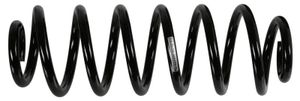 Sachs Schroefveer 994797