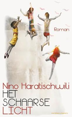 Het schaarse licht (Paperback)