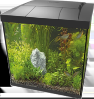 Superfish Start Qube 60 kit zwart