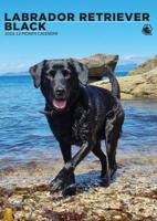 Labrador Retriever Zwart A3 Kalender 2026