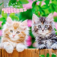 Kittens Kalender 2026
