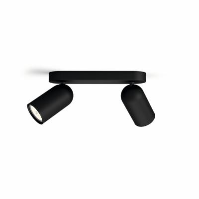 Philips OpbouwspotPongee 2-lichts zwart - 5058230PN
