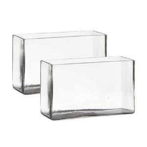 Hakbijl Glass Vaas - Set van 2x stuks - transparant - rechthoek - glas - 25 x 10 x 15 cm - Bloemstuk