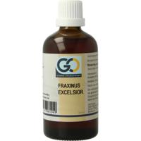 GO Fraxinus excelsior GO Fraxinus excelsior