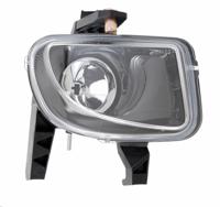 Mistlamp rechts 190555152
