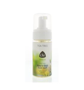 Tea tree hand & body wash foam