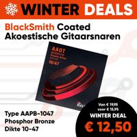 BlackSmith AAPB-1047 Akoestische Gitaarsnaren met Coating - Phosphor Bronze (10-47)