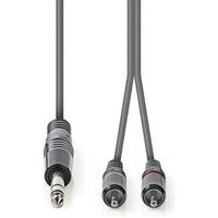 Stereo audiokabel | 6,35 mm male - 2x RCA male | 3,0 m | Grijs Stereo audiokabel | 6,35 mm male - 2x RCA male | 3,0 m | Grijs