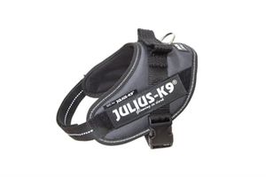 Julius k9 idc power-harnas / tuig voor labels antraciet (MINI/51-67 CM)