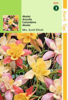 Zaden Aquilegia Akelei Mrs. Scott Elliott Hortitops - Hortitops