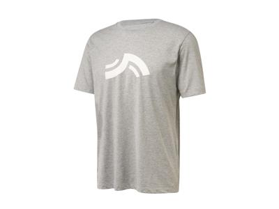 CRIVIT Heren T-shirt (Grijs, L)