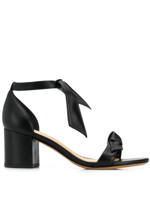 Alexandre Birman sandales à talon épais - Noir