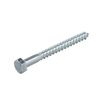 Homefix Houtdraadbout Vz 4.6 Sw-13 Din571 8X30 | 10 stuks - 6701.50.50080 Homefix Houtdraadbout Vz 4.6 Sw-13 Din571 8X30 | 10 stuks - 6701.50.50080