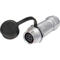Weipu SF1211/S4 I Ronde connector Koppeling, recht Totaal aantal polen: 4 Serie (ronde connectoren): SF12 1 stuk(s)