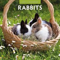 Konijnen Kalender 2027