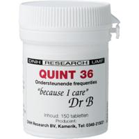 DNH Quint 36