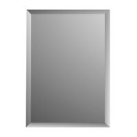 Spiegel Charleston Plieger Rechthoekig 4mm Met Facetrand 120x30cm Zilver