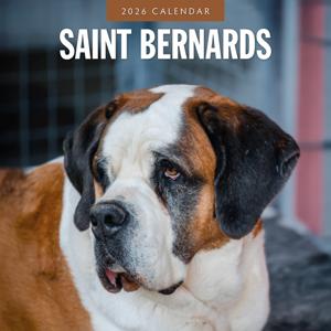 Sint Bernard Kalender 2026