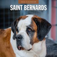 Sint Bernard Kalender 2026