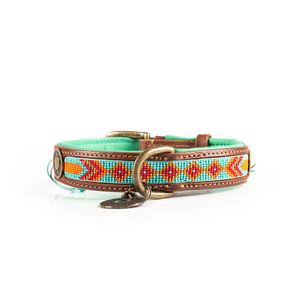 DWAM Paddy Lee Bruin, Oranje, Rood, Turkoois Leer M Hond Standaard halsband