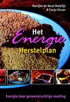 Het Energie Herstelplan (Paperback)