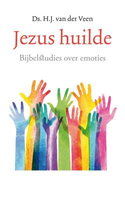 Jezus huilde (Paperback)