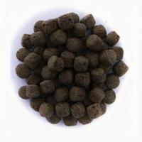 Coppens Spirulina 3mm Koivoer - Kleurversterking & Gezondheid - 15KG Pellets