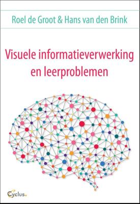 Visuele informatieverwerking en leerproblemen (Paperback)
