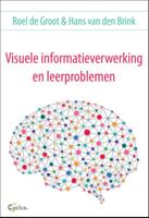Visuele informatieverwerking en leerproblemen (Paperback)