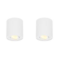 HOFTRONIC™ 2x Dimbare LED Opbouwspot plafond Ray Wit incl. GU10 spot 5W 2700K IP20 kantelbaar