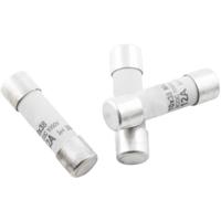 TRU COMPONENTS 1576898 TC-1038330 Buiszekering (Ø x l) 10.3 mm x 38 mm 16 A 500 V Traag -T- Inhoud 1 stuk(s) - thumbnail