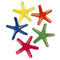 Papoose Toys Papoose Toys Sea Star Laevigata/5pc