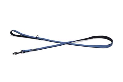 Beeztees Beeztees Parinca Premium Hondenriem Nylon Blauw 180cm x 20mm