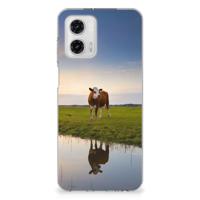 Motorola Moto G73 | TPU Hoesje | Koe